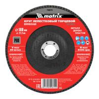 Круг лепестковый торцевой, P 60, 180 х 22,2 мм Matrix