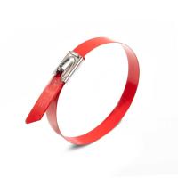 Стяжка стальная СКС-П 316 4.6х1000 красн Fortisflex 100 шт 83070