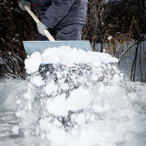 Лопата снеговая 430х370х0,8мм,с черенком(цинк) Сибртех