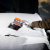 Щетка-сметка для снега со скребком  двусторонняя, 510 мм Stels