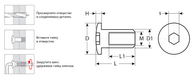 Гайка Эриксона с полукруглой головкой, M6x12мм, 5 кг (730 шт), оцинкованная, шест. 4мм, ЗУБР