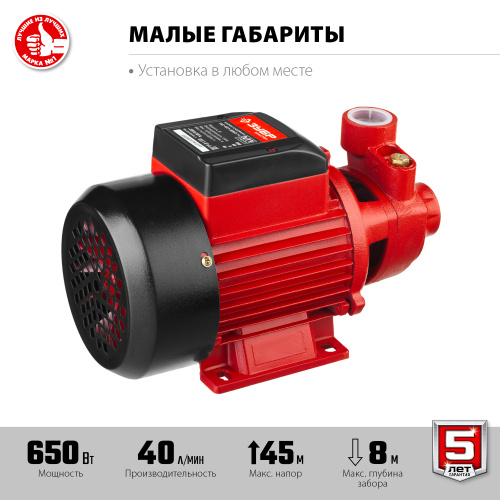 Насос М1 садовый поверхностный, ЗУБР НС-М1-650-Ч, 650 Вт